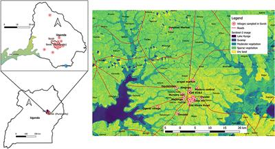 Descriptive Analysis of Heavy Metals Content of Beef From Eastern Uganda and Their Safety for Public Consumption